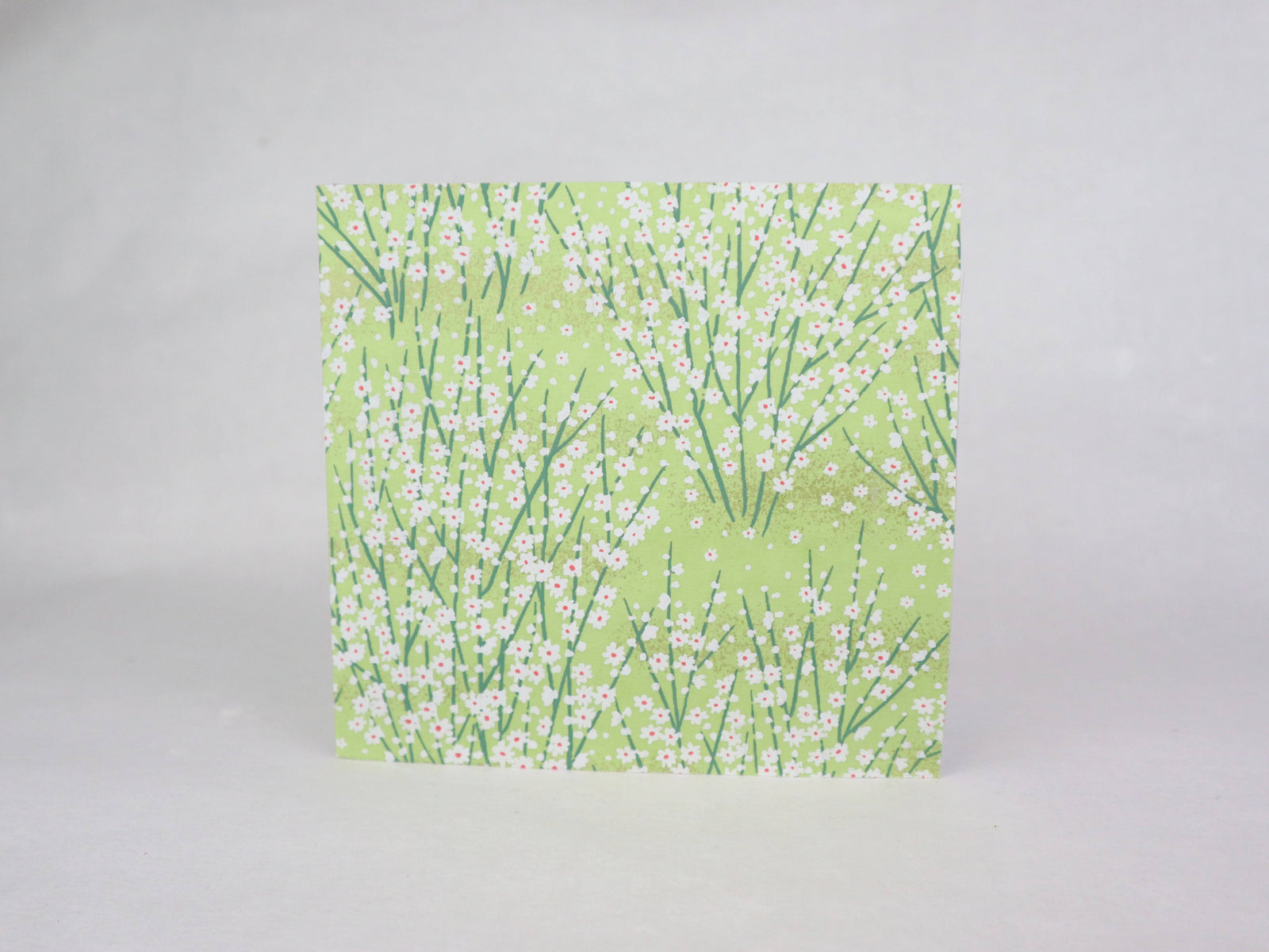 Tarjeta de Felicitación