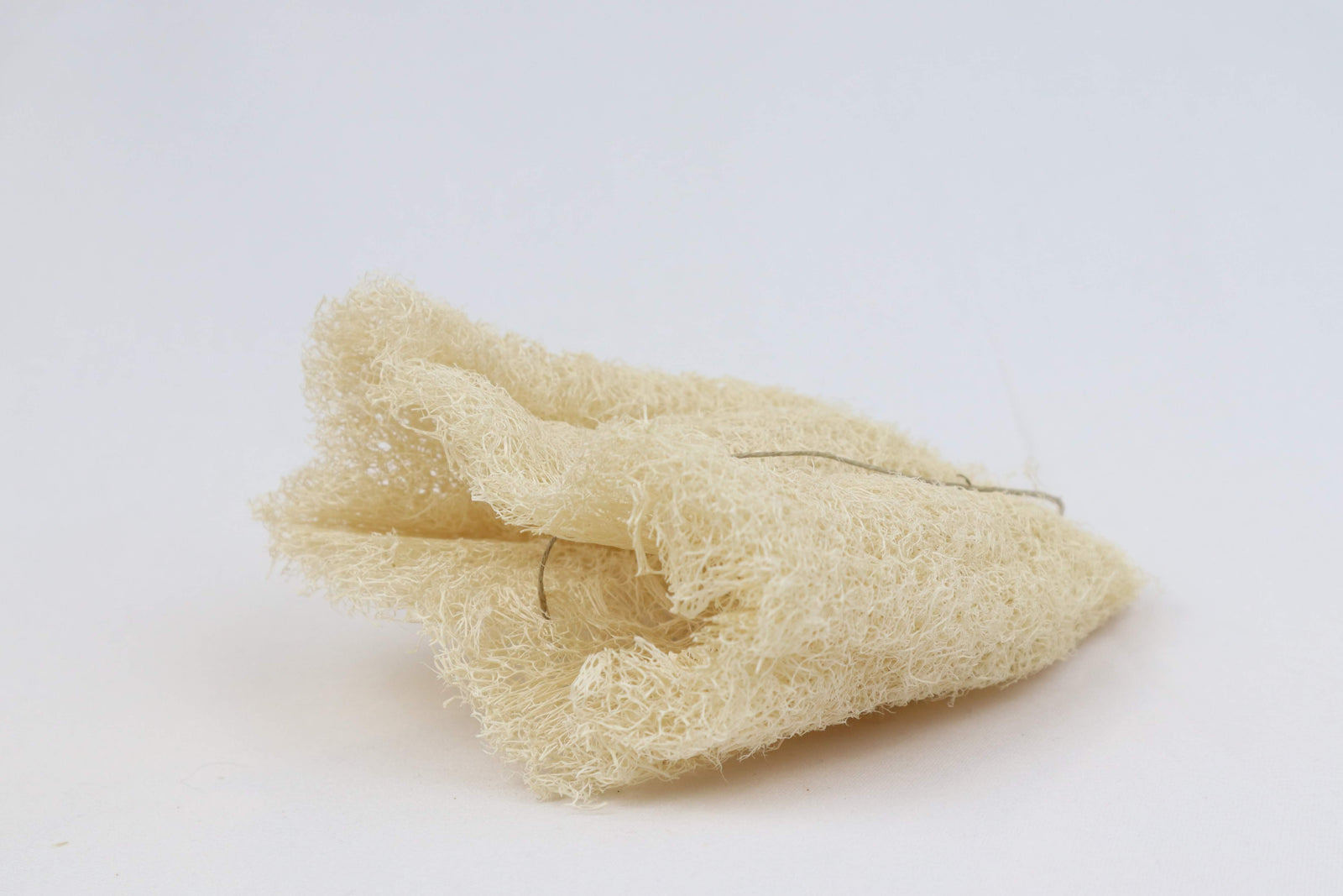 Esponja Estuche para Jabones